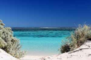 Ningaloo Reef