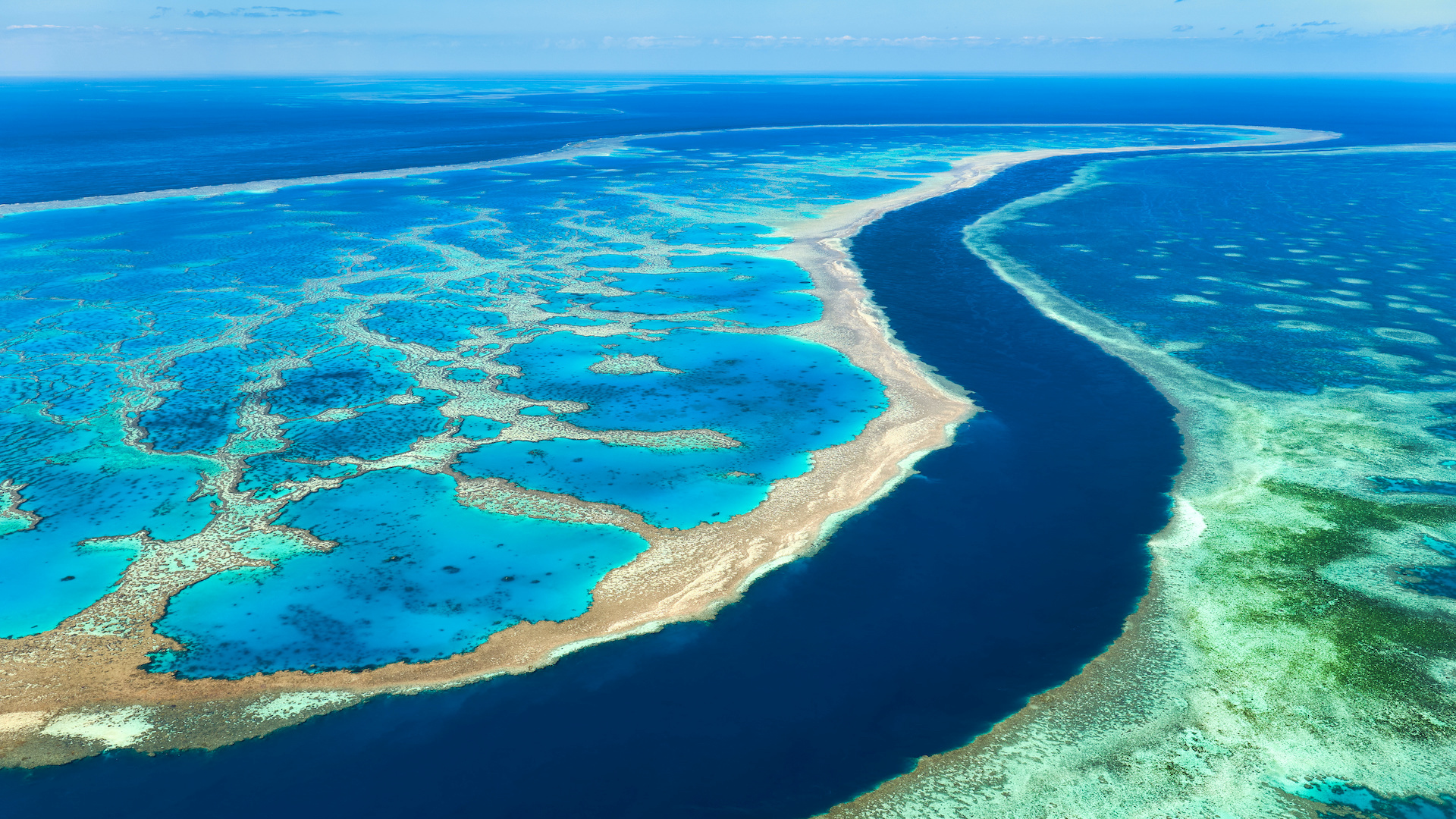 Daintree Rainforest & Great Barrier Reef Tour | Bill Peach Journeys