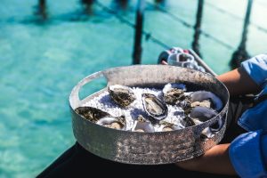 Coffin Bay - freshly caught oysters - luxury short breaks South Australia
