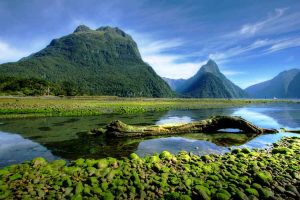 Milford Sound - Lakes & Fiords - Luxury New Zealand