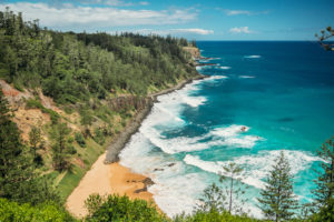 Norfolk Island - Norfolk Pines lining the coast - - Luxury Short Break