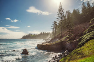 Norfolk Island - rugged coast line lined with pines - Luxury Short Break