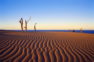 Fraser Island - amazing sand beaches - Luxury solo tours