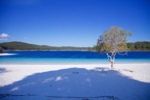 Fraser Island - awe-inspiring beauty of Lake McKenzie - Luxury solo tours