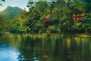 Silky Oaks Lodge - located in the Daintree Rainforest - Luxury solo tours