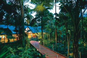 Silky Oaks Lodge - Set amongst the rainforest - Luxury Queensland Short Break