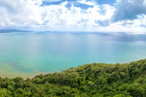 Daintree Rainforest - where rainforest meets the Coral Sea - Luxury solo tours